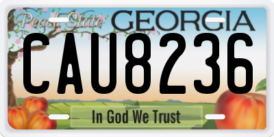 GA license plate CAU8236