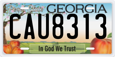 GA license plate CAU8313