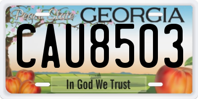 GA license plate CAU8503