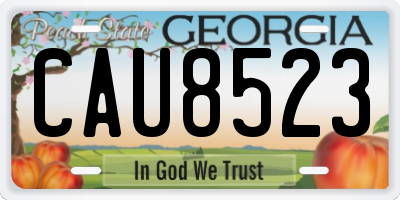 GA license plate CAU8523