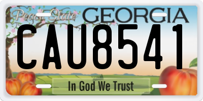 GA license plate CAU8541