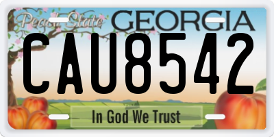 GA license plate CAU8542