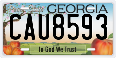 GA license plate CAU8593