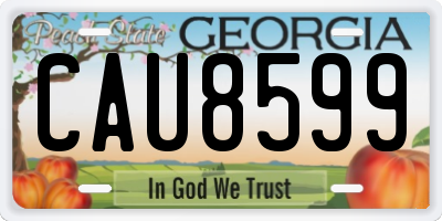 GA license plate CAU8599