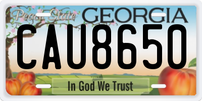 GA license plate CAU8650