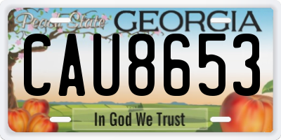 GA license plate CAU8653