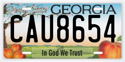 GA license plate CAU8654
