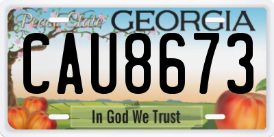 GA license plate CAU8673