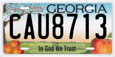 GA license plate CAU8713