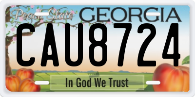 GA license plate CAU8724