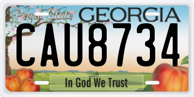 GA license plate CAU8734