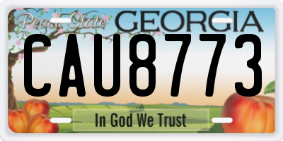 GA license plate CAU8773