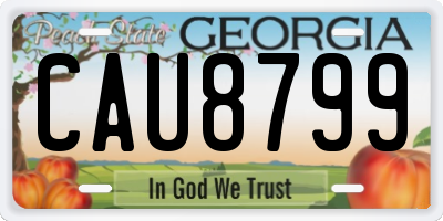 GA license plate CAU8799