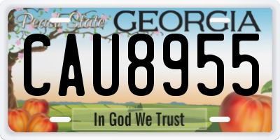 GA license plate CAU8955