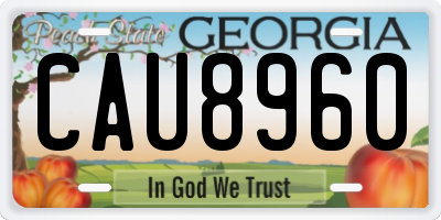 GA license plate CAU8960
