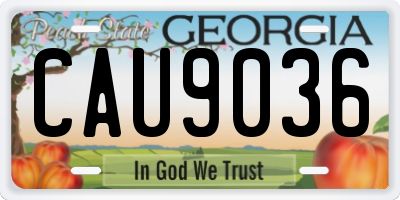 GA license plate CAU9036