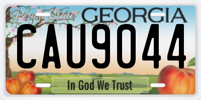 GA license plate CAU9044