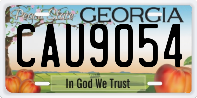 GA license plate CAU9054