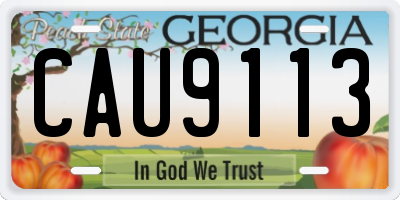 GA license plate CAU9113
