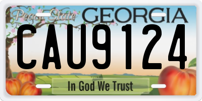 GA license plate CAU9124