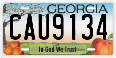 GA license plate CAU9134