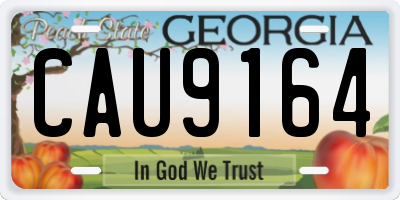 GA license plate CAU9164