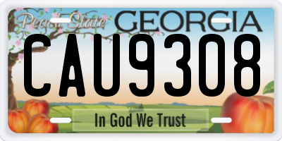 GA license plate CAU9308