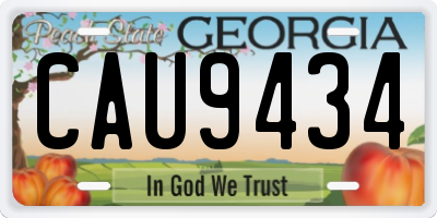 GA license plate CAU9434