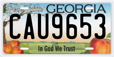 GA license plate CAU9653