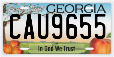 GA license plate CAU9655