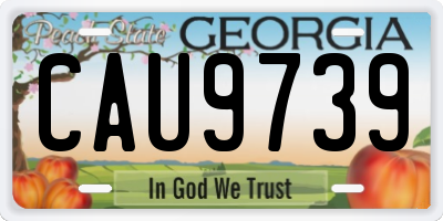 GA license plate CAU9739