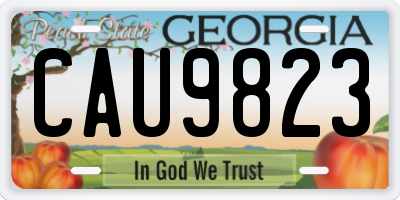GA license plate CAU9823