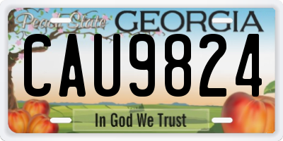 GA license plate CAU9824