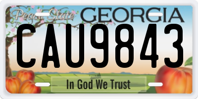 GA license plate CAU9843