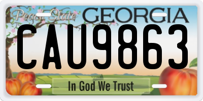 GA license plate CAU9863