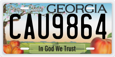 GA license plate CAU9864