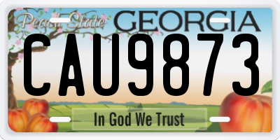 GA license plate CAU9873