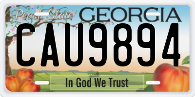 GA license plate CAU9894