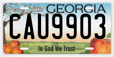 GA license plate CAU9903