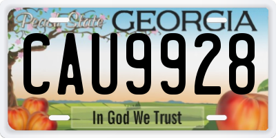 GA license plate CAU9928