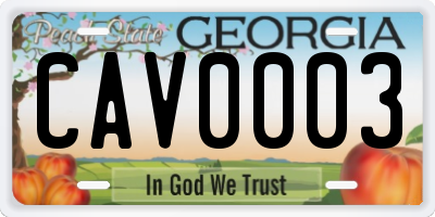 GA license plate CAV0003