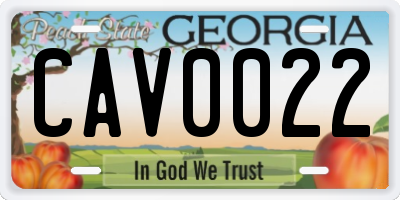 GA license plate CAV0022
