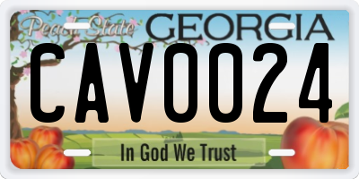 GA license plate CAV0024