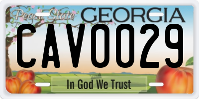 GA license plate CAV0029
