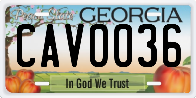 GA license plate CAV0036