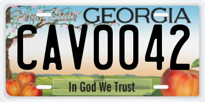 GA license plate CAV0042