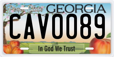 GA license plate CAV0089
