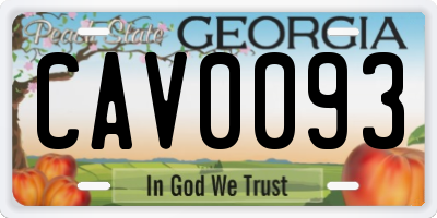 GA license plate CAV0093