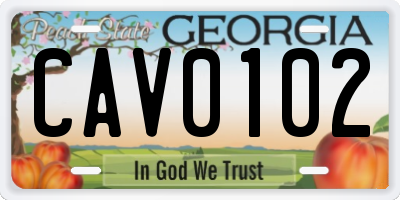 GA license plate CAV0102