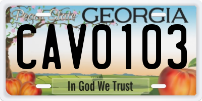 GA license plate CAV0103